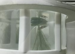 ミナミ3.jpg