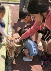 動物園4.jpg