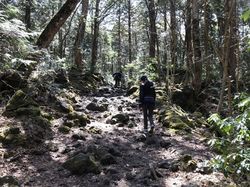 富士山2日目15.jpg