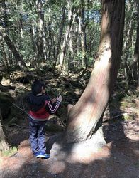 富士山2日目8.jpg