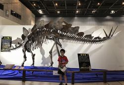 恐竜と科学館7.jpg