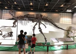 恐竜と科学館8.jpg