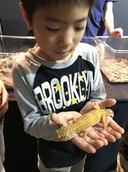 爬虫類4.jpg