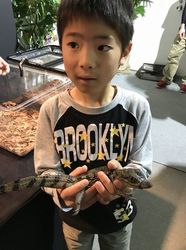 爬虫類5.jpg