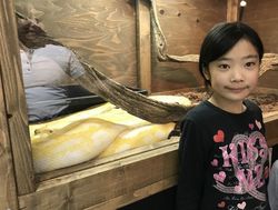 爬虫類6.jpg
