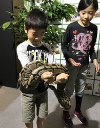 爬虫類8.jpg