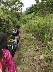 高草山11.jpg