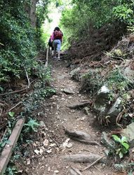 高草山12.jpg