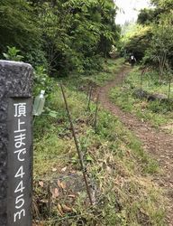 高草山15.jpg