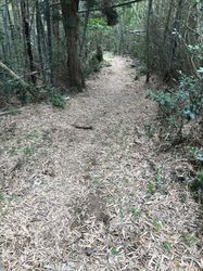高草山25.jpg