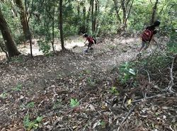 高草山26.jpg