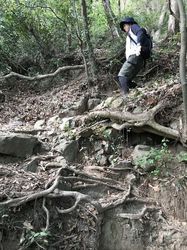 高草山28.jpg