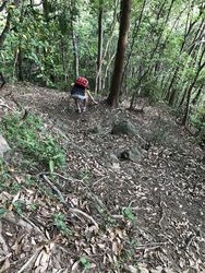 高草山29.jpg