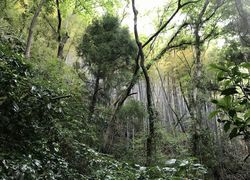 高草山4.jpg