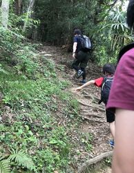 高草山6.jpg