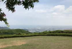 高草山9.jpg